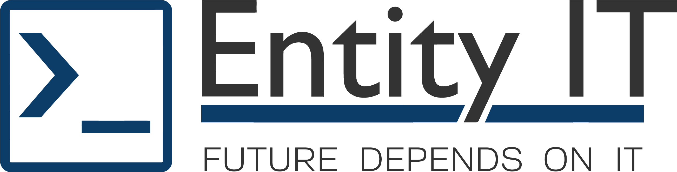 Entity-IT | Future depends on IT